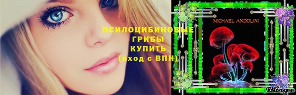 твердый Алексин