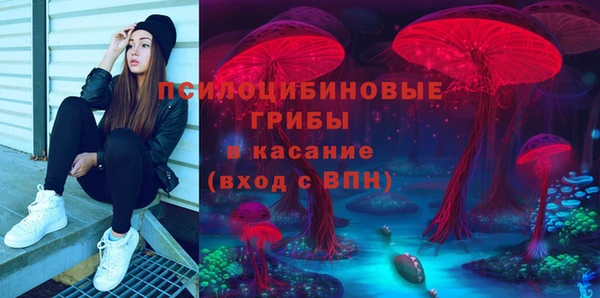 шишки Алексеевка