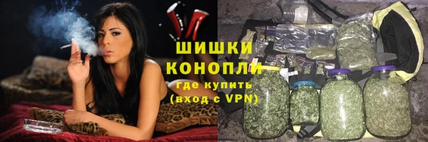 шишки Алексеевка