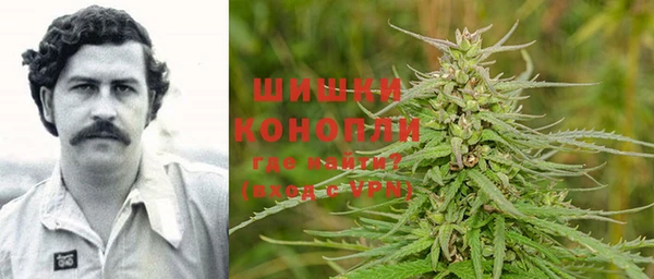 шишки Алексеевка