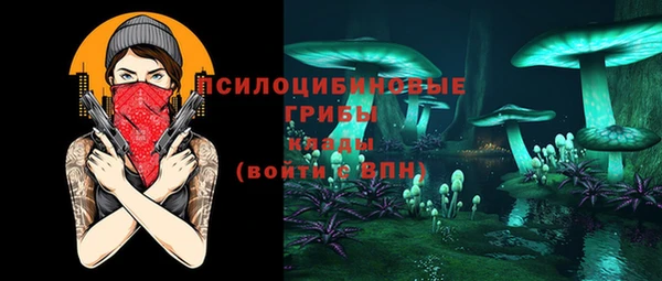 твердый Алексин