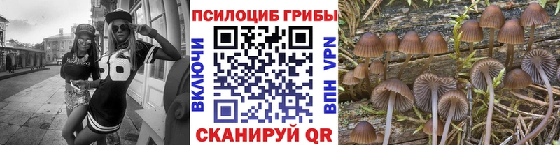 цены наркотик  Олонец  Псилоцибиновые грибы Magic Shrooms 